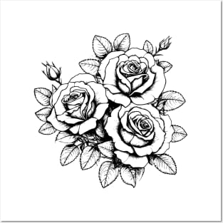 Rose Flowers Black and White Illustration Posters and Art